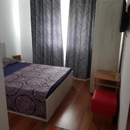Homestay Casa Andreea
