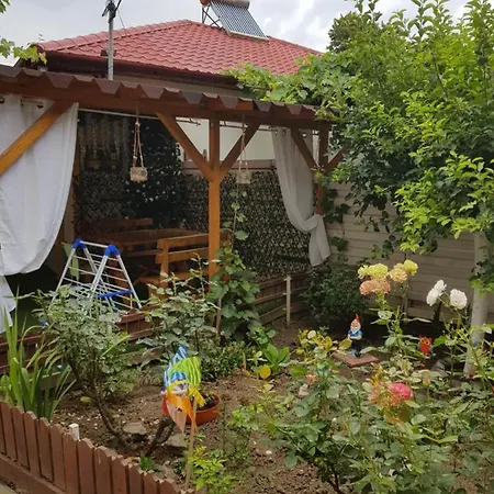 Casa Andreea Homestay