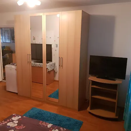 Homestay Casa Andreea *